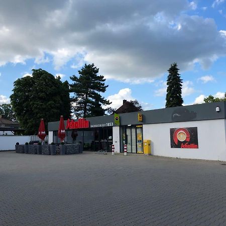 Ferienwohnung Am Blauen See ドルステン エクステリア 写真